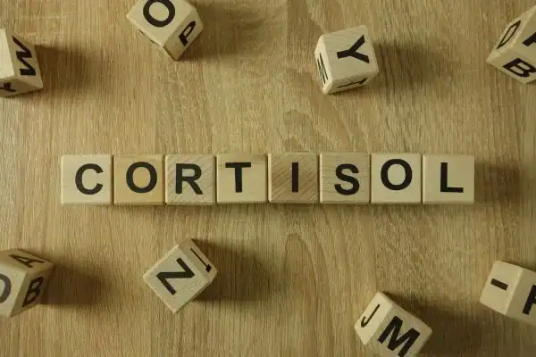 The Hidden Connection: How Stress Shapes Your Fitness and Body Composition 2 Image saying "Cortisol" and how stress Paisley impacts your wellbeing and bodies shape